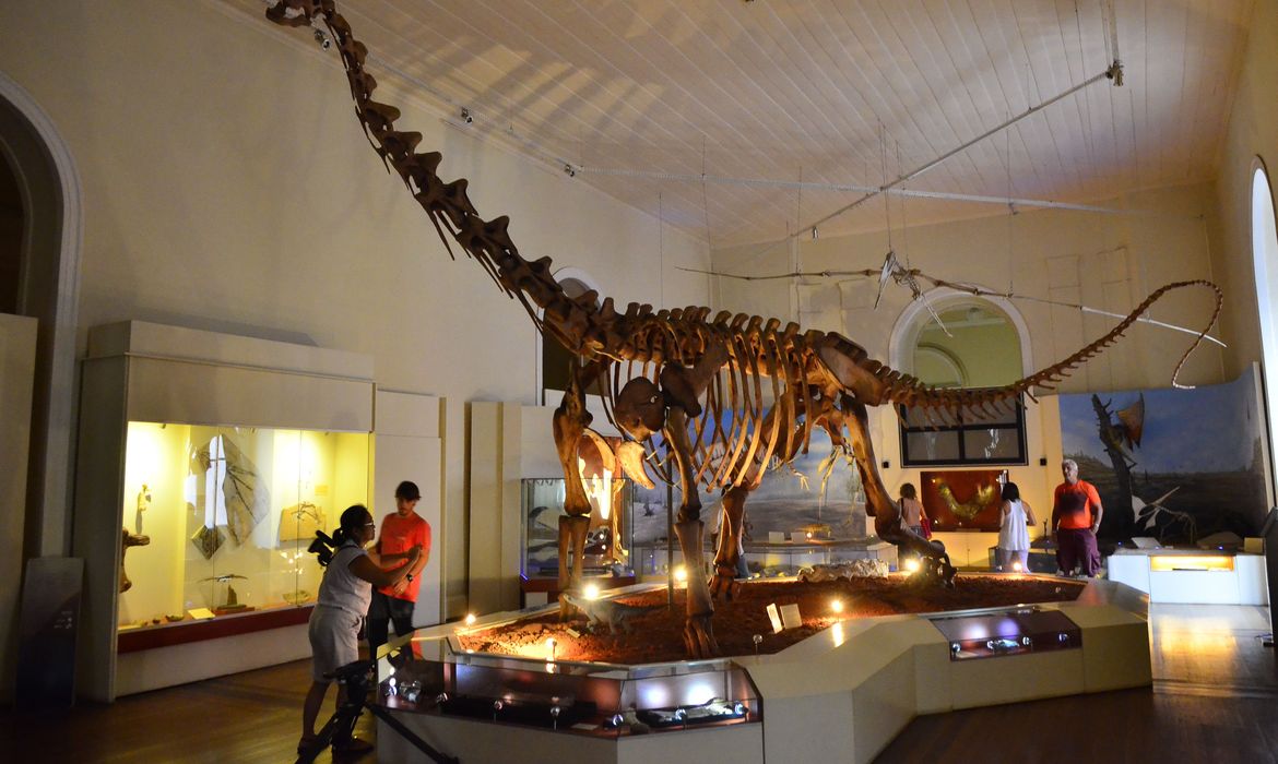 museu nacional, UFRJ, dinossauro