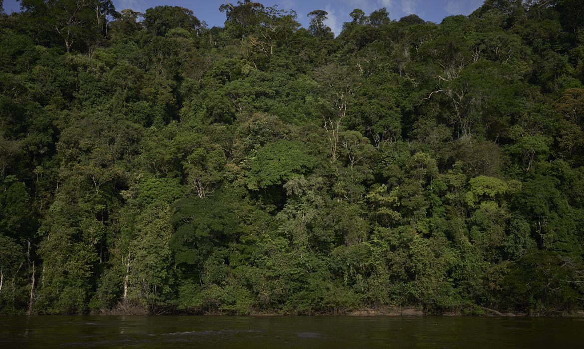Trilha na Amazônia, com 460 km, será inaugurada na COP30