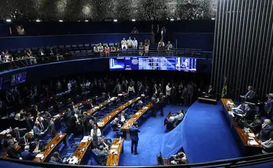 Brasília (DF), 12/12/2024 - Sessão do Senado Federal deliberativa extraordinária. Foto: Antônio Cruz/Agência Brasil