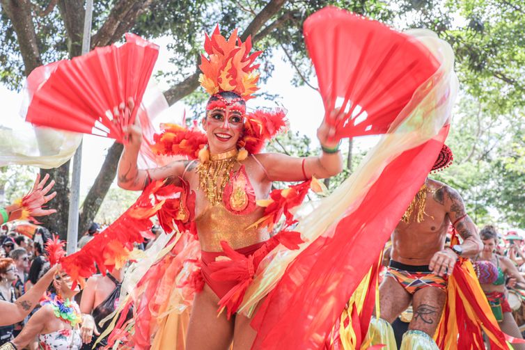 Brasília (DF), 17/02/2026 -Carnaval de rua no Bloco Calango Careta.
Foto: Joédson Alves/Agência Brasil