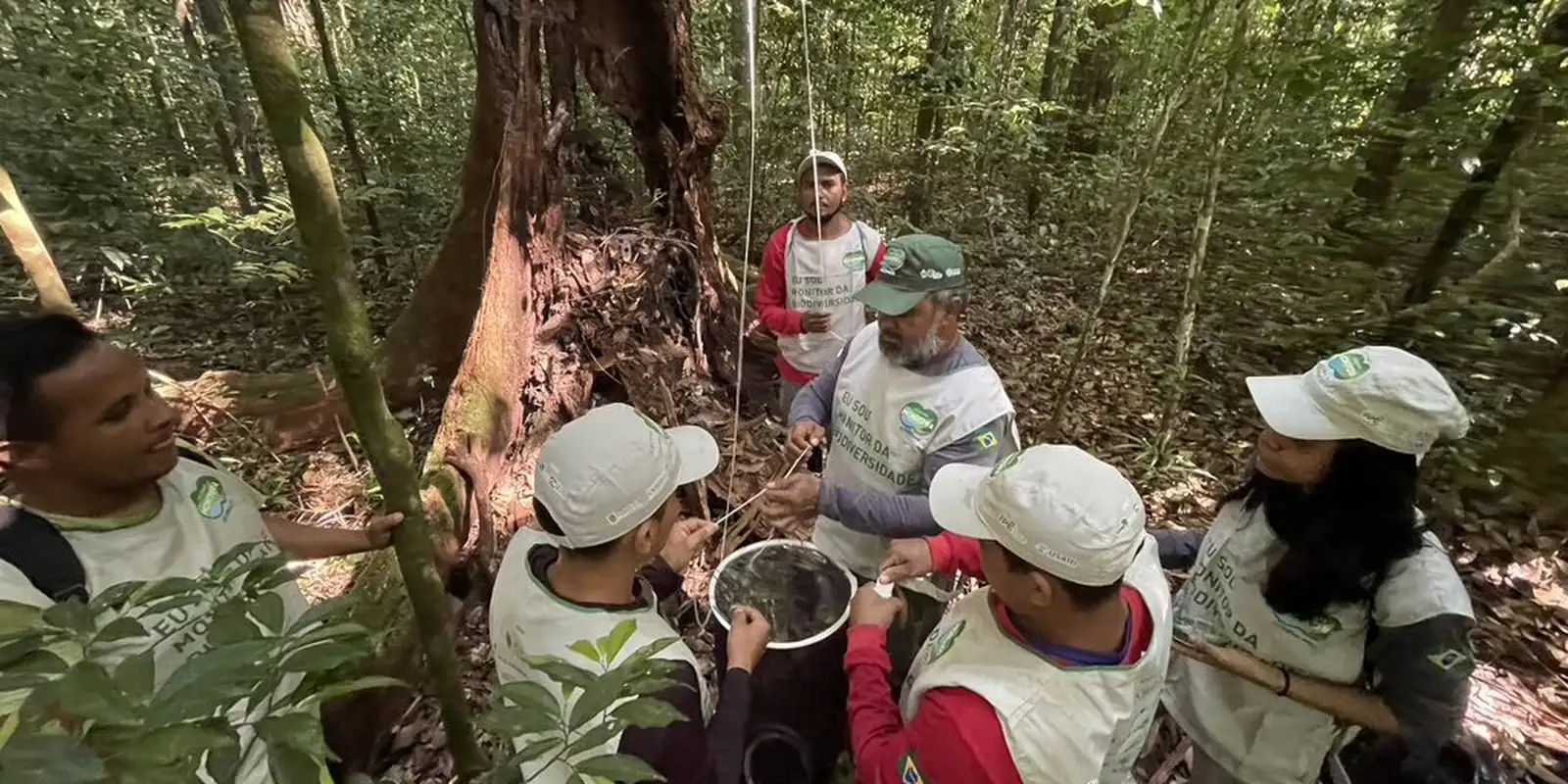 Comunidade do Marajó passa a monitorar biodiversidade na Floresta Nacional de Caxiuanã com apoio do IPÊ