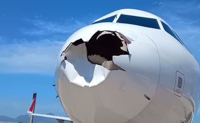 Rio de Janeiro (RJ), 20/02/2025 - Avião da Latam Airlines que partiu do Aeroporto do Galeão, no Rio de Janeiro, com destino ao Aeroporto de Guarulhos, em São Paulo, precisou retornar após colidir com um pássaro. Foto: Latam/Divulgação