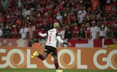 Internacional, flamengo, brasileiro, série a