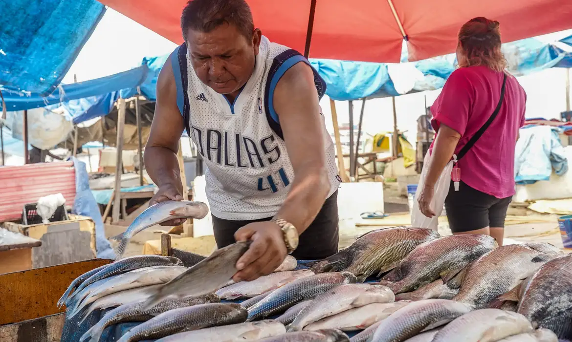 Rafa Neddermeyer/Agência Brasil Manaus (AM), 20/11/2023, Marcos César Antonio, o Marcos do Pescado, comerciante, vende
peixes na região do Porto de Manaus. Manaus sofrre com a maior seca em 121 anos. Foto: Rafa Neddermeyer/Agência Brasil