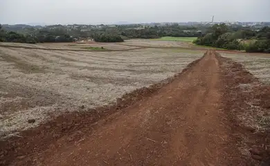 Cruzeiro do sul (RS), 27/04/2025 – Área reservada para construção do no bairro passo de estrela.
O novo loteamento contará com 480 lotes, dos quais parte será destinada à construção de moradias através das Atas de Registro de Preço da Secretaria de Habitação e Regularização Fundiária (Sehab), e outra parte será disponibilizada para que os próprios beneficiários construam suas casas com recursos próprios. O investimento estimado é de R$ 120 milhões
Foto: Joédson Alves/Agência Brasil