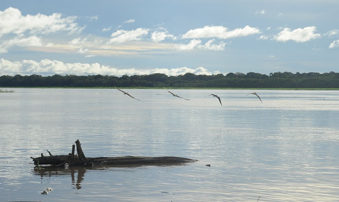 Pelos rios próximos à capital amazonense é comum encontrar pescadores nas portas das casas. Foto: Tomaz Silva/Agência Brasil