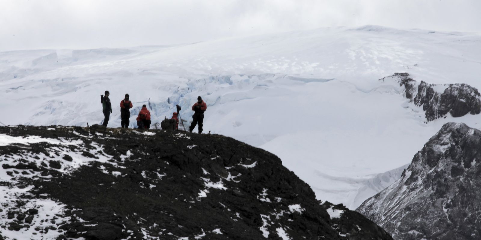 Uerj identifica nova espécie de peixe pré-histórico na Antártica