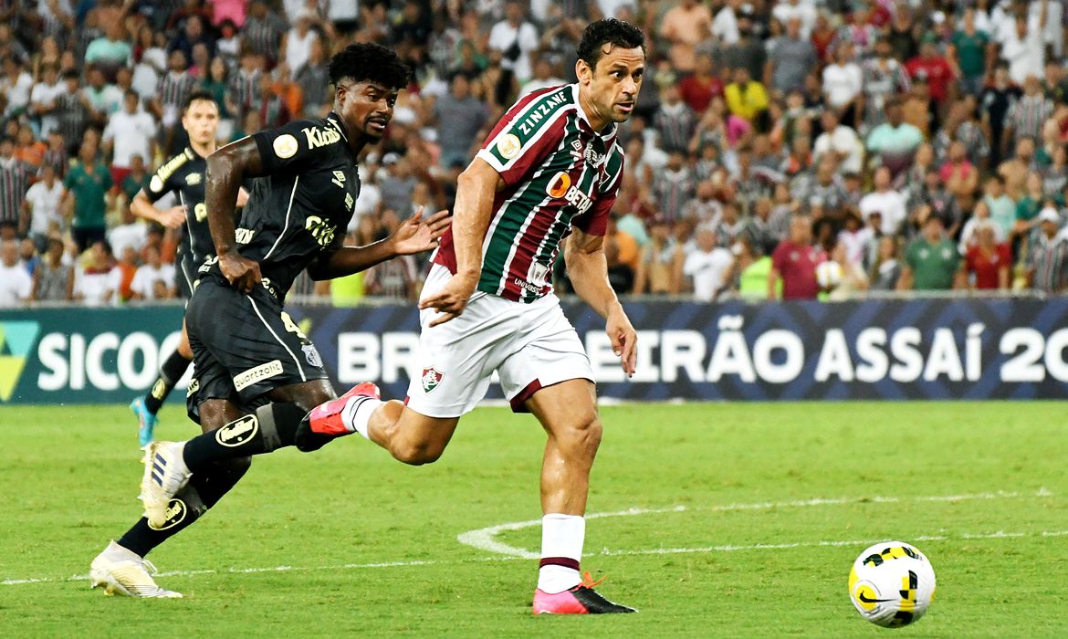 Fluminense, Santos, Brasileiro