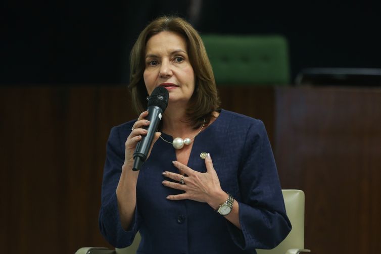 Brasília - A delegada Martha Rocha debate os dez anos da Lei Maria da Penha (José Cruz/Agência Brasil)