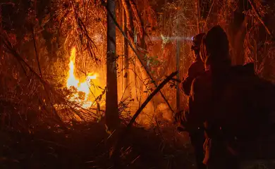Amazônia-11/12/2024 Amazônia tem o maior número de queimadas e incêndios em 17 anos.
