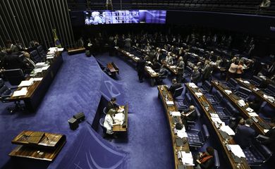 Brasília - Senadores discutem suspensão de parcelas de dívidas dos estados (Fabio Rodrigues Pozzebom/Agência Brasil)