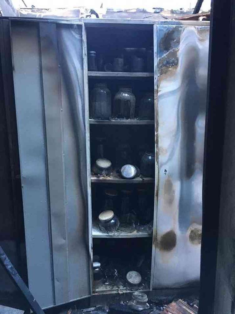 Divulgação/Corpo de Bombeiros O fogo destruiu um dos espaços do Museu de História Natural e Jardim Botânico da UFMG na manhã desta segunda-feira, 15 de junho