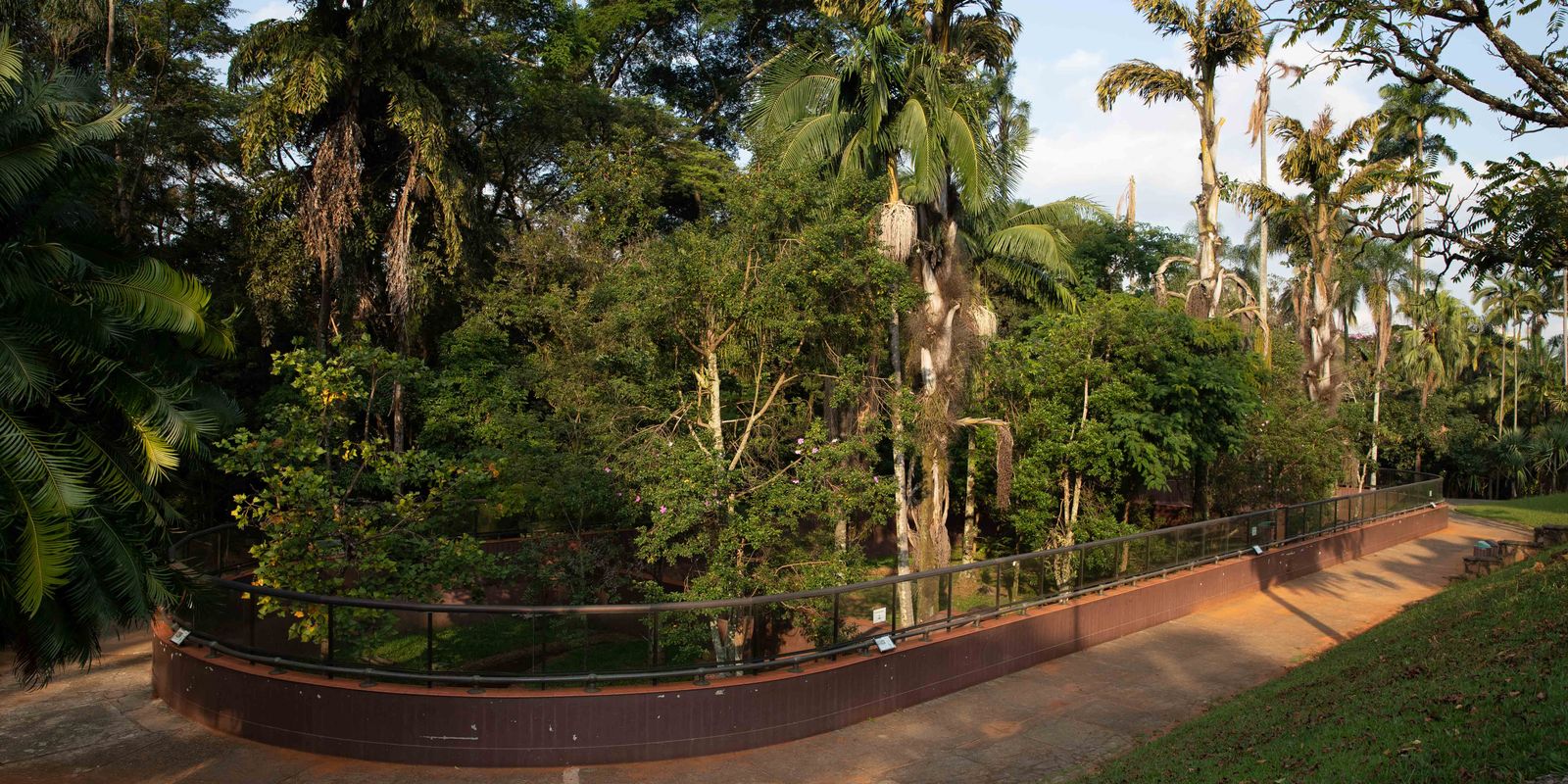 Después de dos años, el Parque Científico Butantan reabre al público
