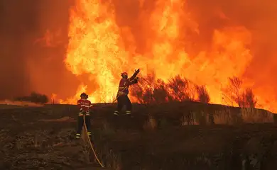 Bombeiros trabalham para extinguir incêndio florestal que se aproxima de Trancoso, Portugal
13/08/2025
REUTERS/Pedro Nunes