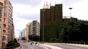 Os jardins verticais no Minhocão só melhoram a saúde e abaixam os níveis de poluição no centro de São Paulo