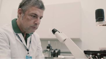 Cientista Ricardo Gazzinelli pesquisa vacinas para doenças negligenciadas