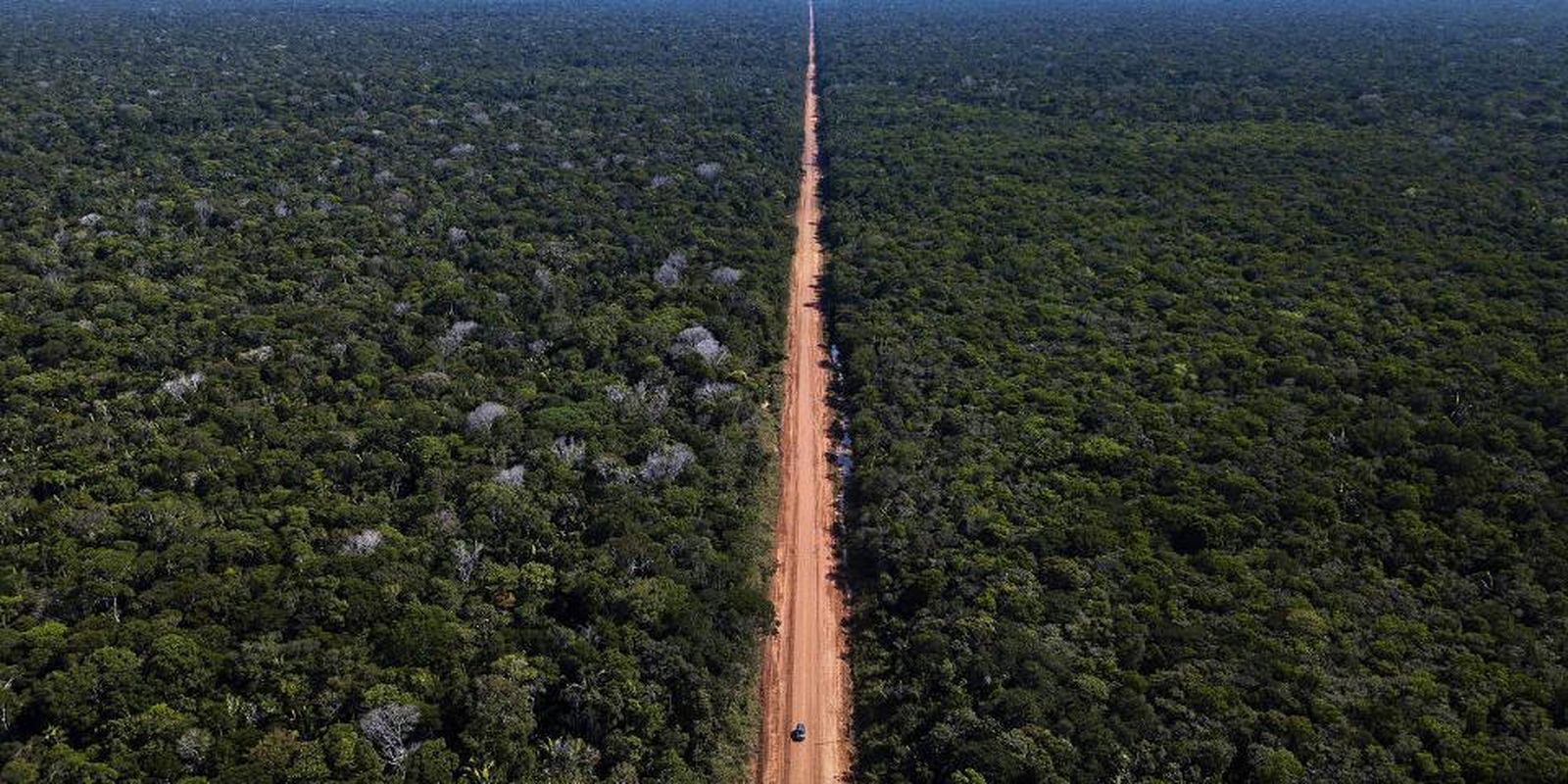 Desmatamento na Amazônia Legal tem queda de 60% Desmatamento na Amazônia Legal tem queda de 60%