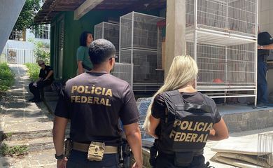 Operação Operação da PF/RJ e IBAMA contra tráfico de animais - Aves apreendidas. Foto: Polícia Federal/RJ
