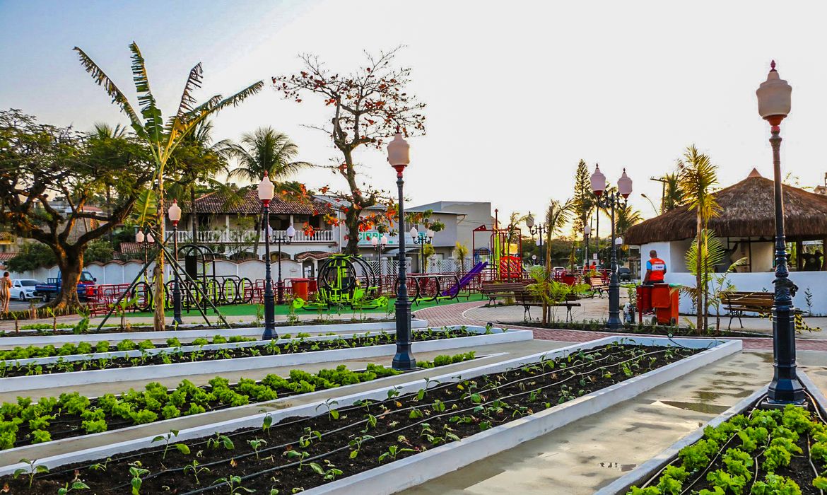 Horta comunitária/jardim comestível na cidade de Maricá. Foto: Prefeitura de Maricá/ Divulgação