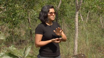 Arqueóoga Carolina de Abreu mostra vestígios da ocupação humana no Sítio Cachoeirinha, no DF