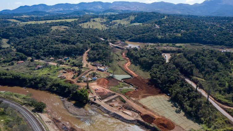 Processo de reflorestamento em 2020