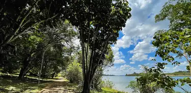  Parque Ecológico do Lago Norte, em Brasília. É um parque linear de 2 km de extensão que margeia o Lago Paranoá em sua porção norte, onde a Mata Ciliar é preservada.