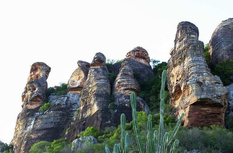 São Raimundo Nonato(PI) - O Parque Nacional da Serra da Capivara, no Piauí, está ameaçado pela falta de recursos. Unidade de conservação arqueológica é Patrimônio Mundial da Unesco (Marcello Casal Jr/Agência Brasil)