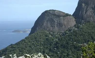 Vista da mata atlântica na Floresta da Tijuca, no Rio de Janeiro