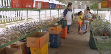 No Cozinhadinho as crianças vão a uma feira comprar alimentos orgânicos