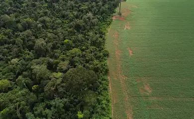Brasnorte (MT), 09/04/2025 – Vista aérea do encontro da Floresta Amazônica com lavouras de milho e soja, na margem da Terra Indígena Erikpatsa, onde vive o Povo Rikbaktsa. Foto: Fernando Frazão/Agência Brasil