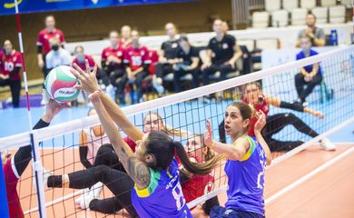 seleção brasileira, vôlei sentado