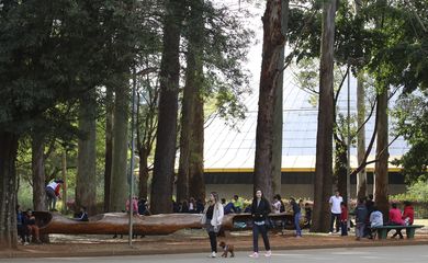  Parque do Ibirapuera completa 65 anos.
