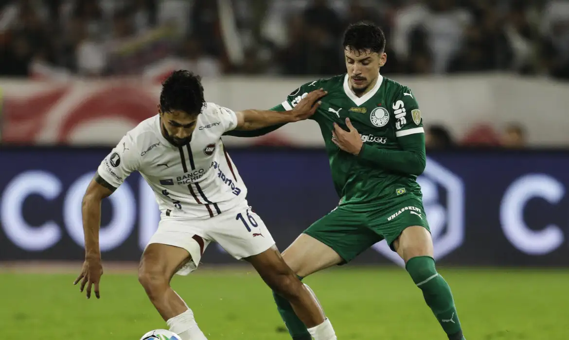 ldu, palmeiras, libertadores