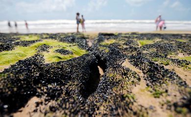 Um derramamento de óleo é visto na praia 'Sitio do Conde' em Conde, Bahia, Brasil, 12 de outubro de 2019. REUTERS / Adriano Machado