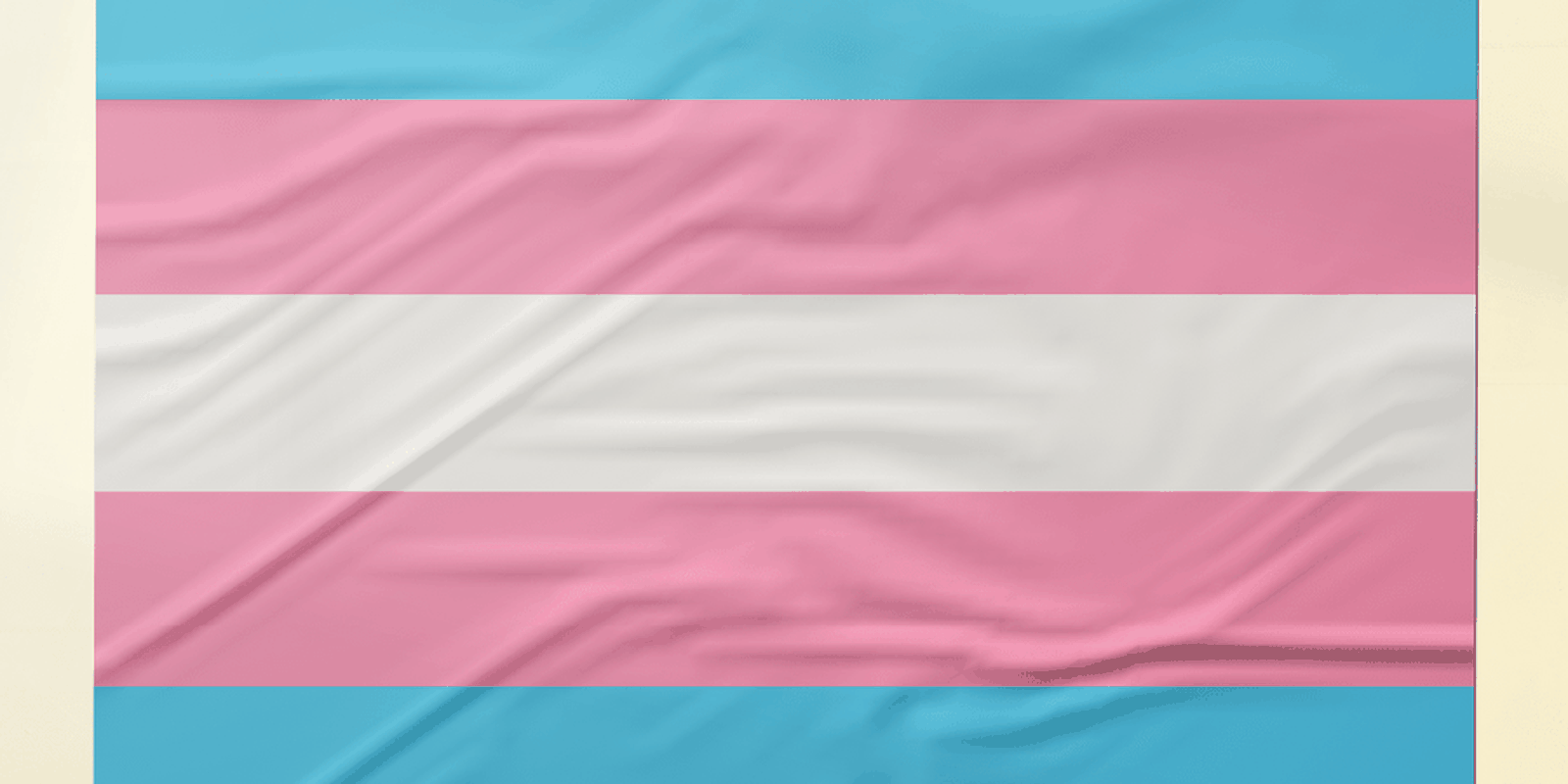 Pesquisa recomenda ações de prevenção ao HPV focadas em pessoas trans Pesquisa recomenda ações de prevenção ao HPV focadas em pessoas trans
