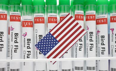 Tubos de ensaio rotulados como de teste para gripe aviária atrás de bandeira dos Estados Unidos em foto de ilustração
14/01/2023 REUTERS/Dado Ruvic