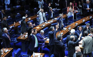 Brasília (DF) 05-06-2024 Sessão da plenária do Senado para votar o projeto de lei (PL 914/2024) que institui o Programa Mobilidade Verde e Inovação (Mover) e a taxação de compras internacionais de até US$ 50. Foto Lula Marques/ Agência Brasil
