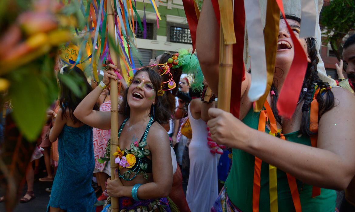 Rio de Janeiro - Bloco Cordão do Boitatá anima foliões no pré-carnaval carioca (Tomaz Silva/Agência Brasil)