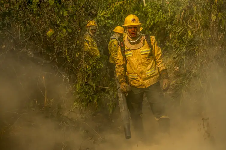 Corumbá (MS), 30/06/2024 - Brigadistas da comunidade quilombola Kalunga, em Goiás, chegam ao Pantanal como reforço na equipe do Prevfogo/Ibama e enfrentam vegetação densa em seu primeiro dia de combate na região. Foto: Marcelo Camargo/Agência Brasil
