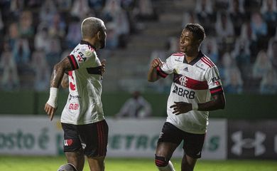 Flamengo vence Goiás