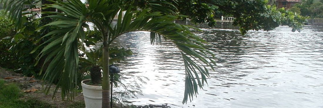 Lagoa da Tijuca, na Barra da Tijuca