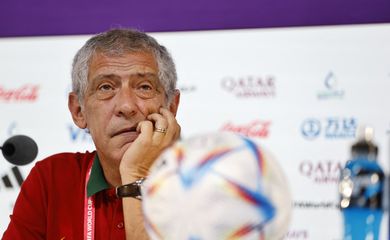 Técnico da seleção de Portugal Fernando Santos
