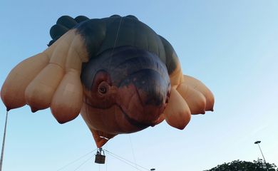 Não era um pássaro nem um avião. E o público que passeava no Aterro do Flamengo, zona sul do Rio de Janeiro, também não chegou a um consenso sobre o que era aquele enorme mamífero inflável que subiu nos céus à beira da Baía de Guanabara