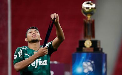 Defensa y Justicia, Palmeiras, recopa sul-americana