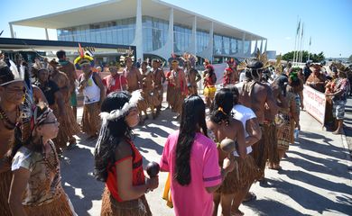 Brasília - Índios Pataxó e Tupinambá defendem demarcação de terras durante manifestação em frente ao Palácio do Planalto  (Antônio Cruz/Agência Brasil)