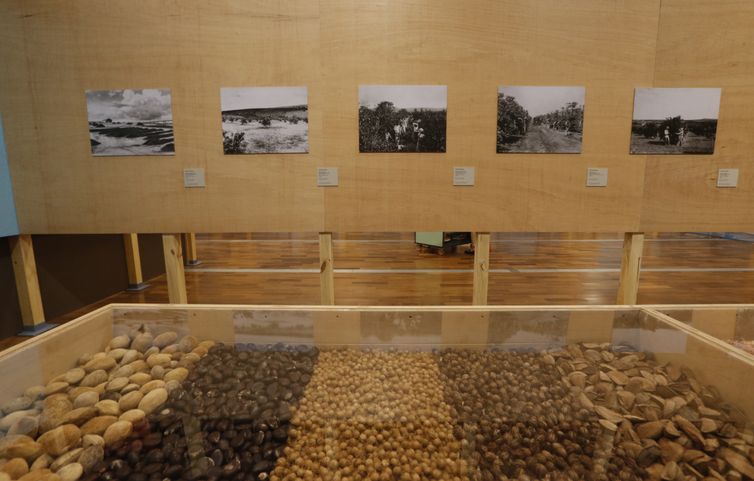 São Paulo (SP), 04/11/2024 -  A exposição “Onde há fumaça: arte e emergência climática”, o Museu do Ipiranga questiona a ideia de progresso ainda predominante, que gera a situação atual de emergência climática. . Foto: Paulo Pinto/Agência Brasil