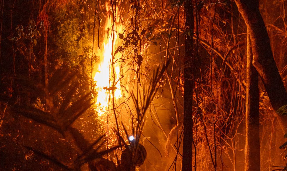 Amazônia-11/12/2024 Amazônia tem o maior número de queimadas e incêndios em 17 anos.  Foto:  Agência Santarém.