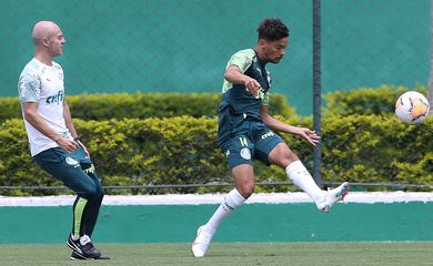 Palmeiras treina para enfrentar o River Plate pela semifinal da Libertadores 2020.