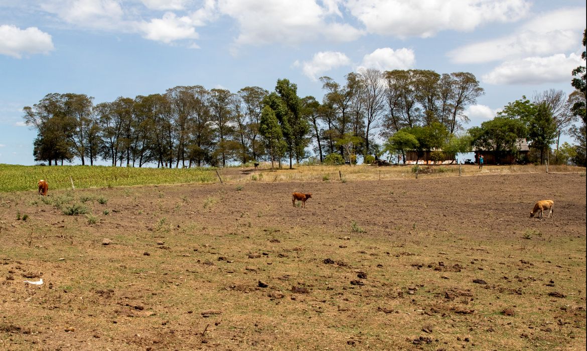 Bagé (RS), 23/02/2023 - Área de região afetada pela estiagem no Rio Grande do Sul. O governo federal deve oficializar medidas para enfrentamento da seca que atinge os municípios gaúchos. 