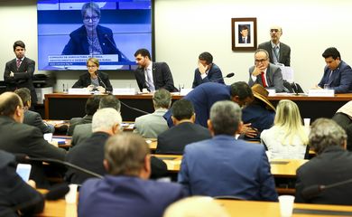 A ministra da Agricultura, Tereza Cristina, participa de audiência pública na Comissão de Agricultura da Câmara dos Deputados.